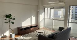 Apartamento à venda em Nagoya, Minami-ku por ¥37,000/mês