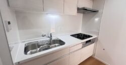 Apartamento à venda em Hiratsuka-shi, Nishimando por ¥54,000/mês