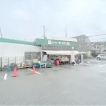270036543-20