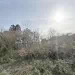 270039616-18