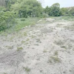 270044631-23