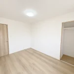 270049051-11