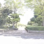 270050946-21