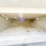 270051586-10
