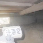 270038319-24