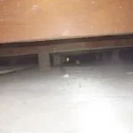 270039904-24