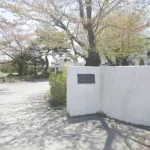 270049964-19