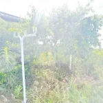 270050516-30