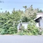 270050755-6