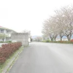 270050819-19