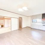 270051236-1