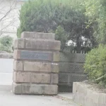 270051381-21