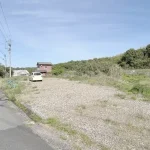 270051388-3