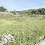 270051388-6