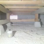 270051411-24
