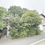 270051498-1
