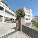 270051545-20