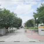 270051747-20