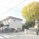 270051995-19