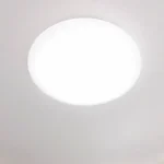 270049295-26