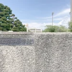 270050056-19