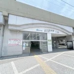270050271-19