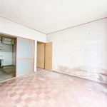 270053562-6