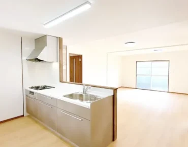 270036091-0